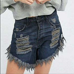 NWT One Teaspoon Frankie Shorts